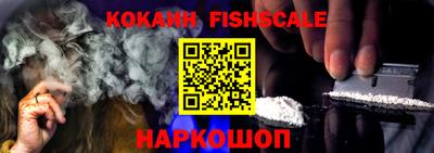 крисы Моздок