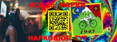 крисы Моздок
