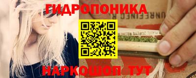 крисы Моздок