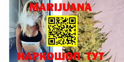 крисы Моздок