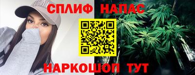 крисы Моздок