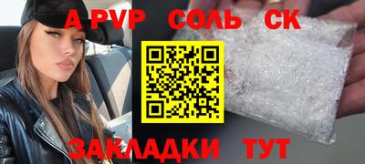 крисы Моздок