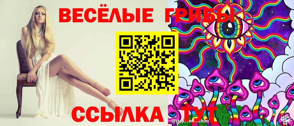 хочу наркоту  Вход с VPN  Владимир  Псилоцибиновые грибы Psilocybine cubensis  Псилоцибиновые грибы Psilocybine cubensis 